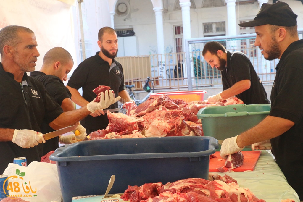 ada7y forthei (32).JPG